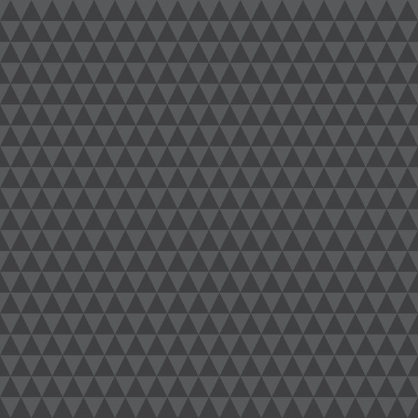 Tula Pink - True Colors Graywork - Kinda Shady - Carbon - PWTP263.CARBON (1/2 Yard)