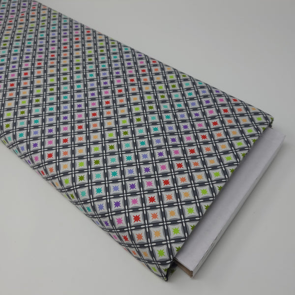 Tula Pink - ROAR! - Stargazer - Storm - PWTP228.STORM (1/2 Yard)