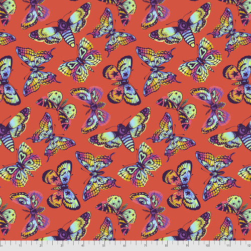 Tula Pink - Daydreamer - Butterfly Kisses - Papaya - PWTP172.PAPAYA (1/2 Yard)