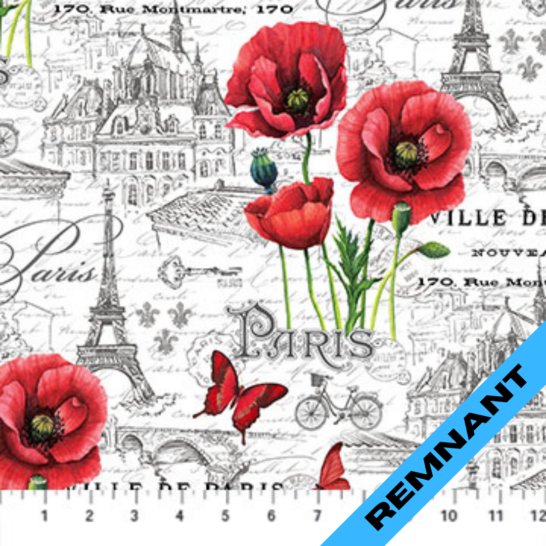 Remnant - Northcott - Ooh La La! - 23563-10 (9" x WOF)