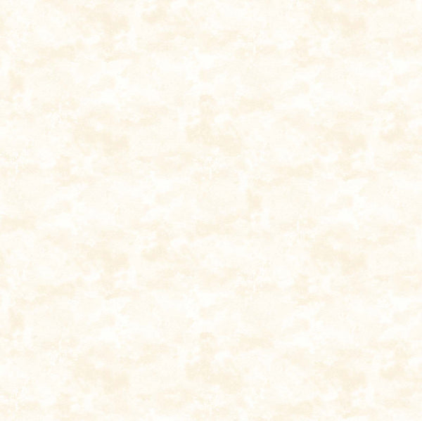 Toscana - Porcelain - 9020-110 (1/2 Yard)