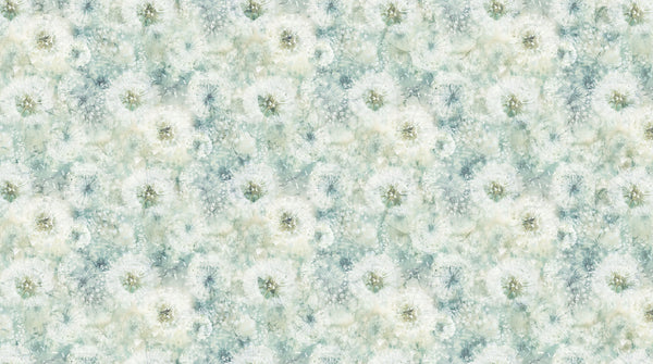 Northcott - Whisper - Packed Seed Pods - DP28702-62 (1/2 Yard)