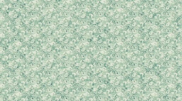 Northcott - Whisper - Seed Pod Mini - DP28704-74 (1/2 Yard)