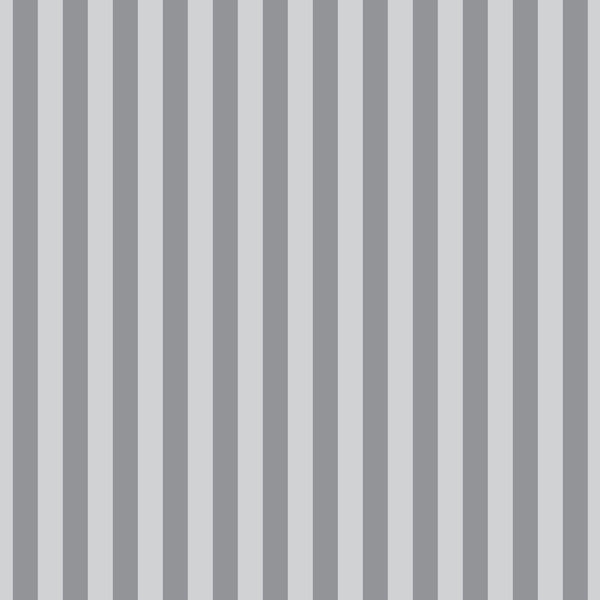 Tula Pink - True Colors Graywork - Tent Stripe - Fog - PWTP069.FOG (1/2 Yard)