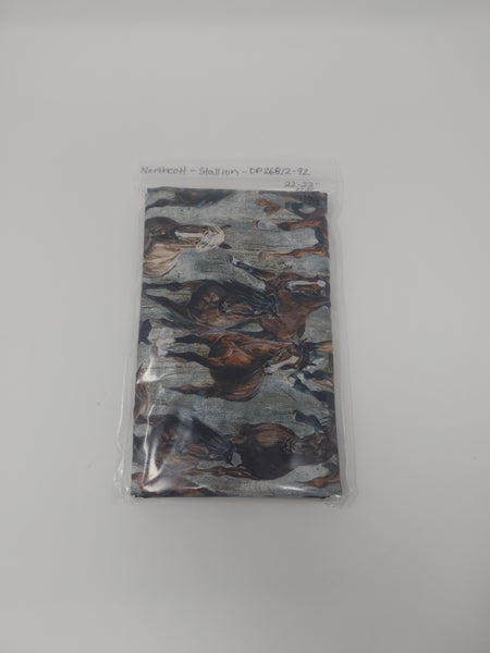 Remnant - Northcott - Stallion - DP26812-92 (22" x WOF)