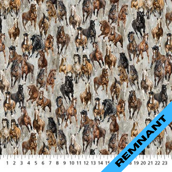 Remnant - Northcott - Stallion - DP26812-92 (22" x WOF)