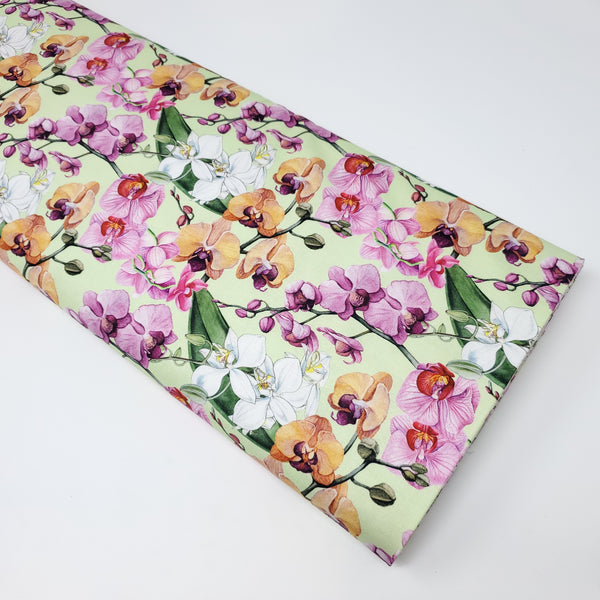 Orchids in Bloom - DP23870-74 (1/2 Yard)