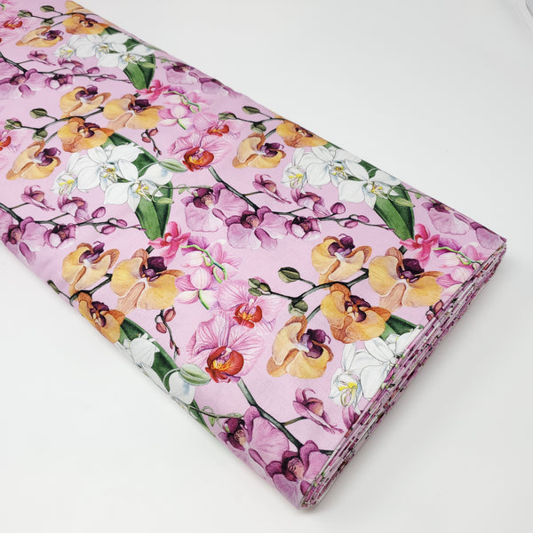Orchids in Bloom - DP23870-82 (1/2 Yard)