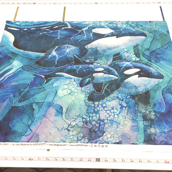 Whale Song - Panel - DP24980-44 (43x28")