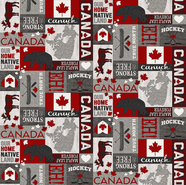 My Canada - Canadian Postcard - 24009-92 (1/2 Yard)
