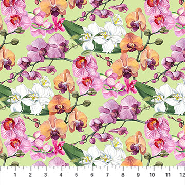 Orchids in Bloom - DP23870-74 (1/2 Yard)