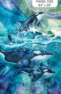 Whale Song - Panel - DP24980-44 (43x28")