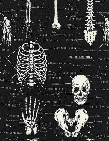 Glow In The Dark - Skeletons - FUN-CG9810 (1/2 Yard)