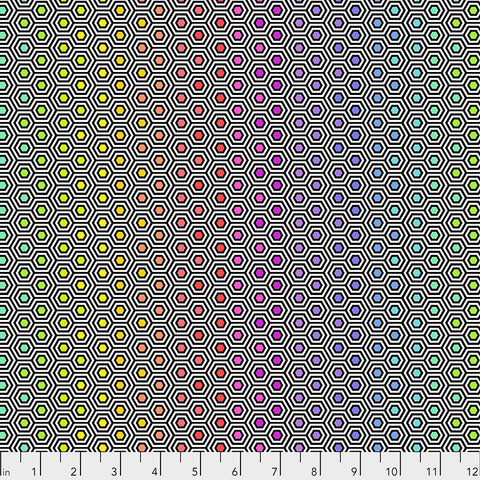 Tula Pink - Linework - Hexy Rainbow - Ink - PWTP151.INK (1/2 Yard)